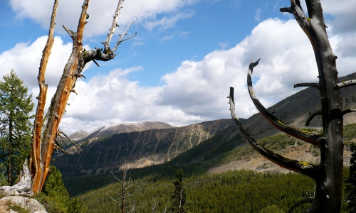 Anaconda Pintler Wilderness Area