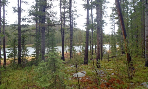 Anaconda Wilderness