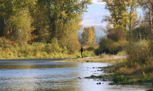 Bitterroot Valley Montana Flyfishing