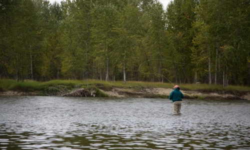 Bitterroot Valley Fishing