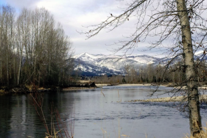 Wilderness Spirit Cabins — Corvallis, MT
