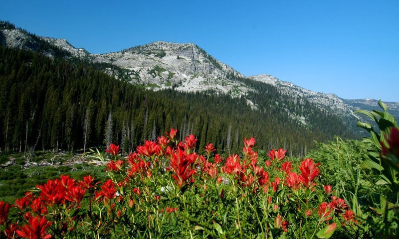 Bitterroot Mountains Montana 