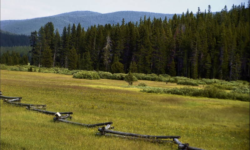 Deerlodge National Forest