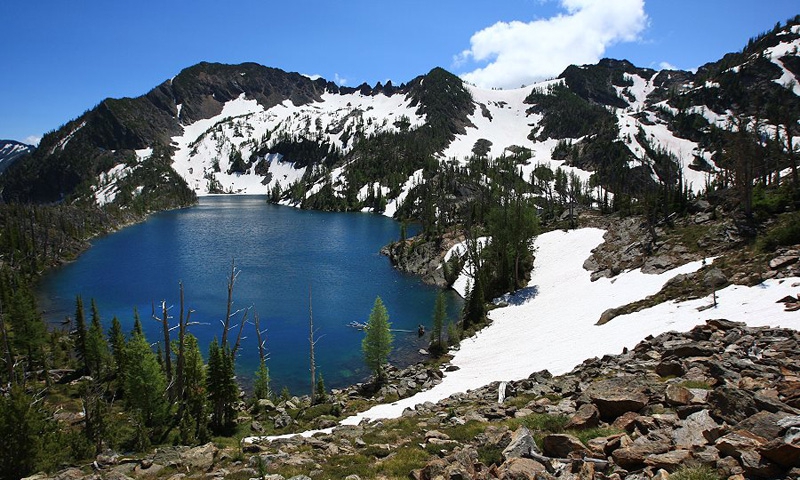 Bitterroot National Forest