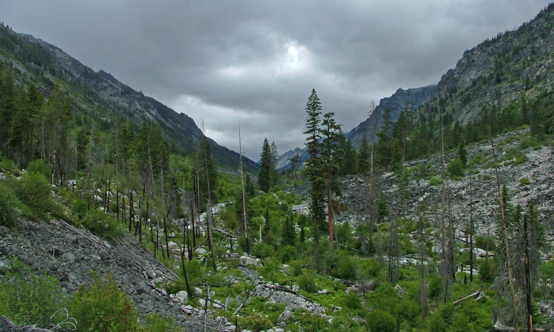 Montana Blodgett Canyon