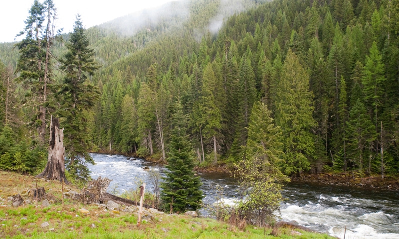 The Middle Fork of the Clearwater River along Lolo Pass