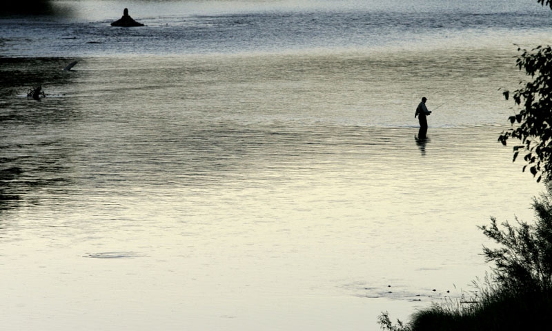 Fly Fishing the Bitterroot River