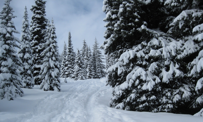 Bitterroot Valley Montana Snowshoeing