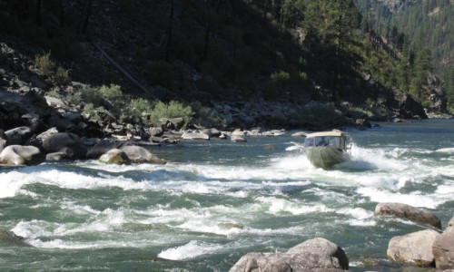 Salmon River