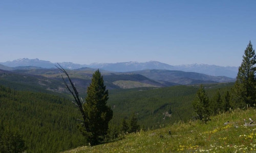 Bitterroot Mountains