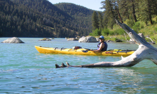 Beaverhead-Deerlodge National Forest
