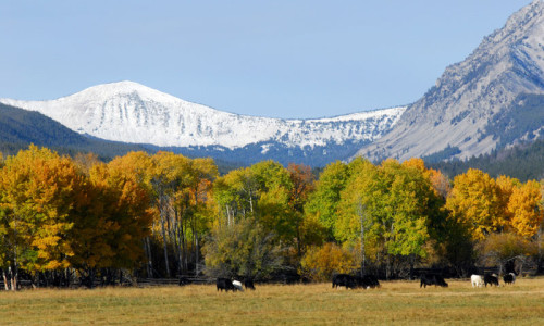 Mountains