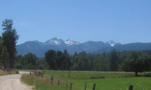 Darby Montana