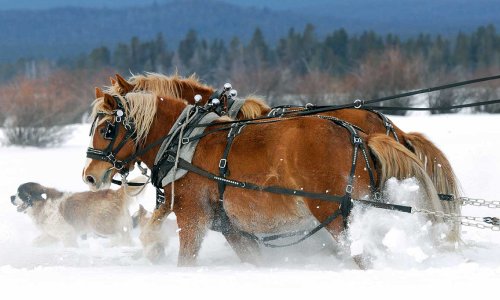 Winter Packages